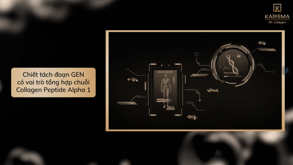 Ảnh minh họa cho quy trình xây dựng liệu pháp tái tạo collagen, nơi bác sĩ da liễu ở Đồng Tháp áp dụng kiến thức chuyên sâu; bác sĩ da liễu Đồng Tháp phối hợp cùng phòng khám da liễu Đồng Tháp và bệnh viện da liễu Đồng Tháp nhằm chữa bệnh da liễu Đồng Tháp bằng dịch vụ da liễu Đồng Tháp chất lượng. 