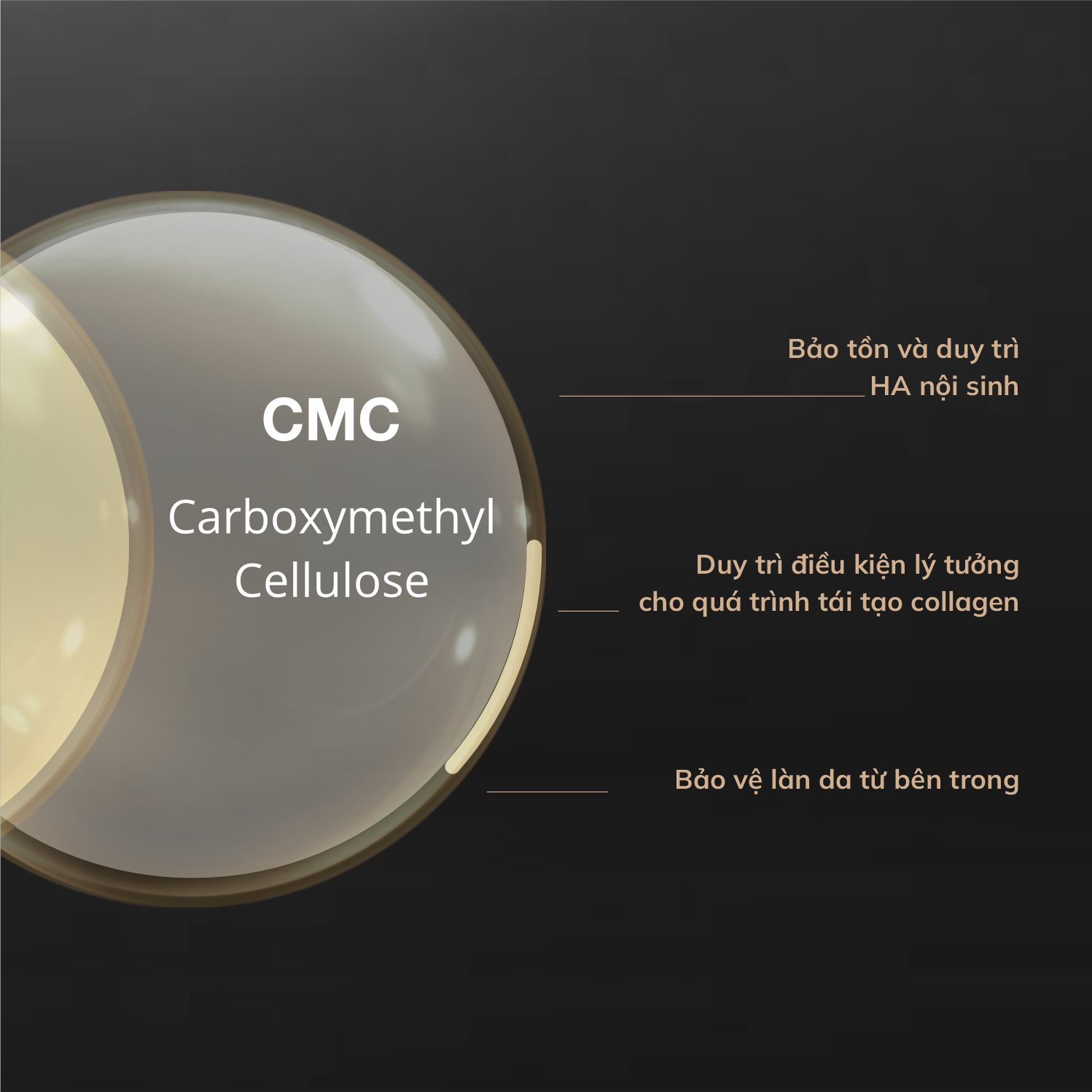 CMC trong Karisma Rh Collagen